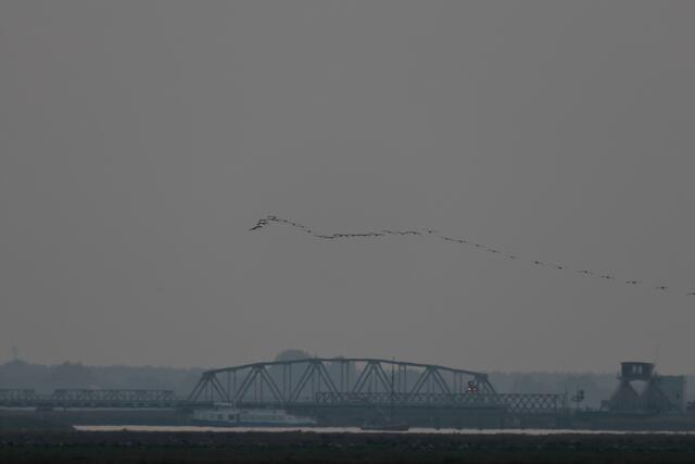 Weiter gehts über die Meiningenbrücke, die das Festland mit der Halbinsel Fischland-Darß-Zingst verbindet, nach Süden  | Foto: Franz-Walter Mappes
