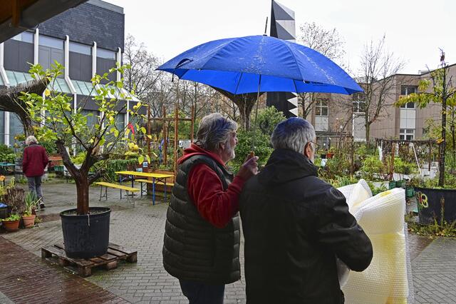 Foto: Ilona Schäfer