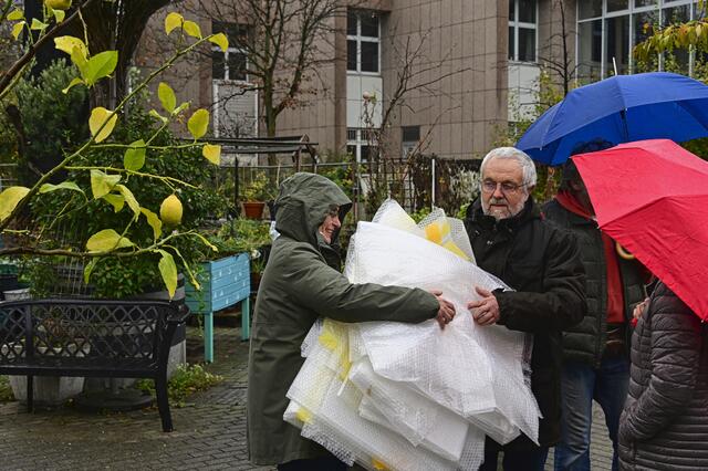 Foto: Ilona Schäfer