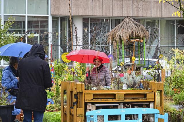 Foto: Ilona Schäfer