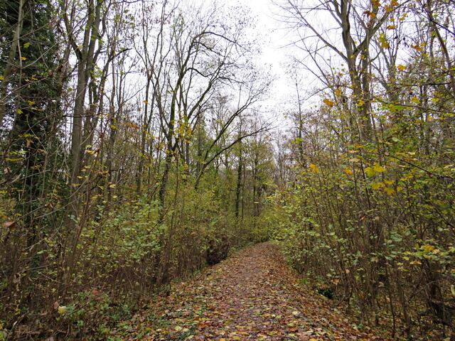 Ein schöner Wanderweg | Foto: Brigitte Melder