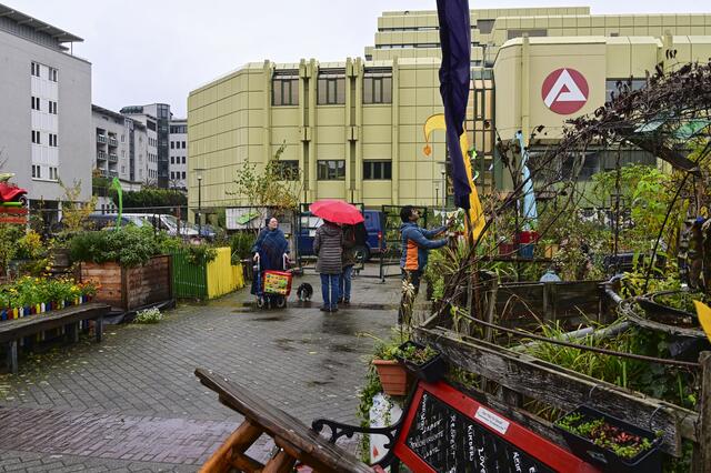 Foto: Ilona Schäfer