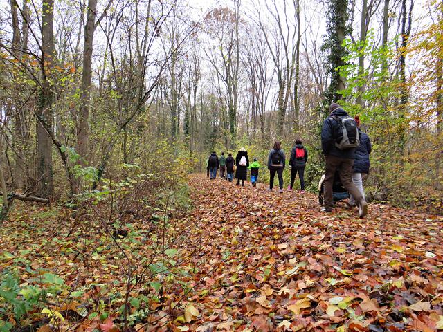 Ein guter Weg war ausgesucht worden | Foto: Brigitte Melder
