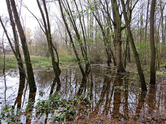 Impressionen | Foto: Brigitte Melder