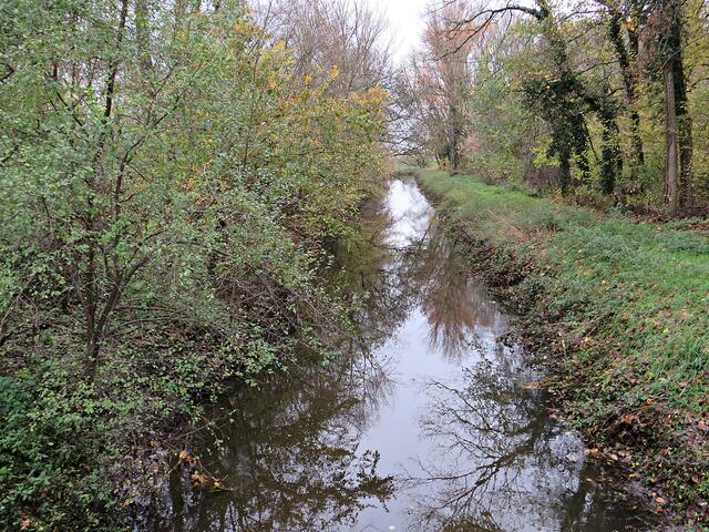 In der Mitte der Rehbach | Foto: Brigitte Melder