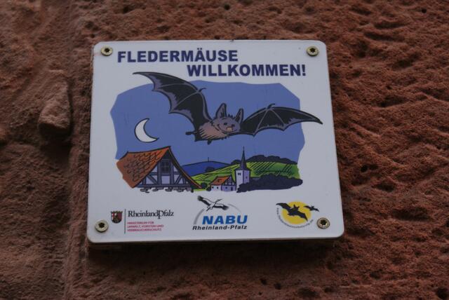 Nabu | Foto: Ich