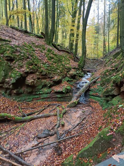 Bachlauf | Foto: Ich