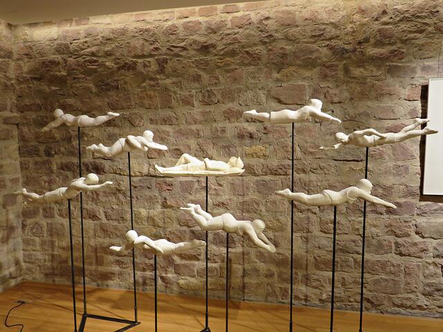 Freischwimmer | Foto: Brigitte Melder