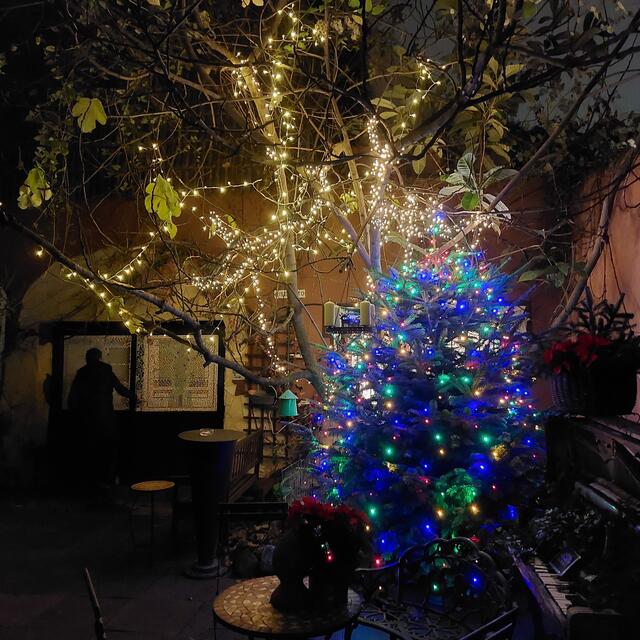 Weihnachtlich geschmückter Baum im Hof | Foto: Brigitte Melder