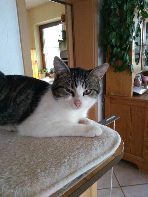 Foto: Irma Gundermann