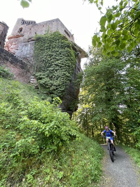 Abfahrt von der Burg Spangenberg in Erfenstein  | Foto: VG Lambrecht (Pfalz)