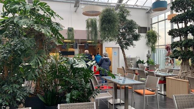 Genießen in Bad Kreuznach: In der Küche werden regionale und saisonale Speisen zubereitet. Gespeist wird im Gewächshaus. | Foto: Andrea Liegert