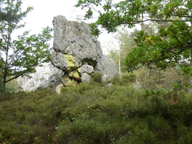 Kopf des Dinosauriers ,Felsformation am Hohenpfahl bei Viechtach | Foto: Heinrich Schneider