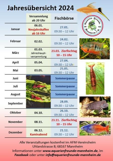 Terminflyer für 2024 | Foto: Aquarienfreunde Mannheim intern
