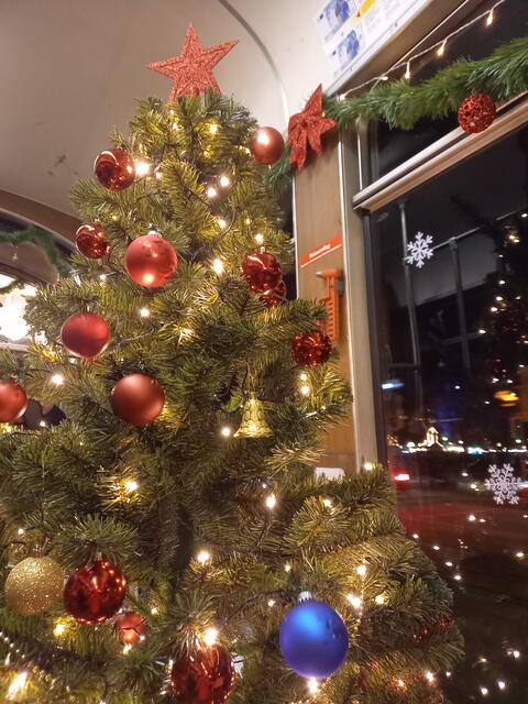 Weihnachtszauber auf der Sonderfahrt in der Mannheimer Innenstadt | Foto: Carsta Vogel