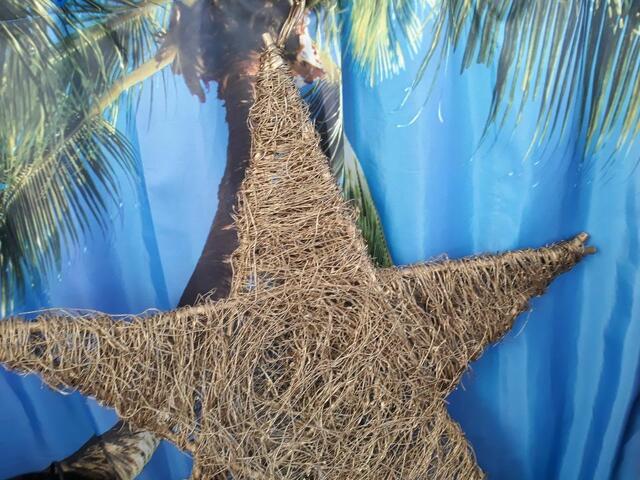 Foto: ELISABETH WEBER