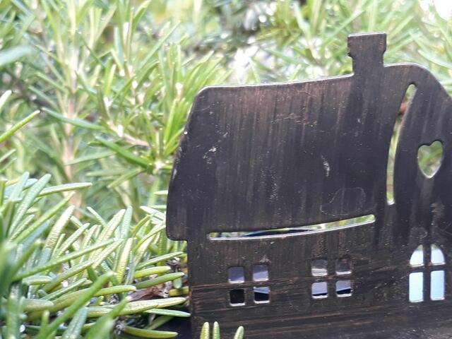 Foto: ELISABETH WEBER