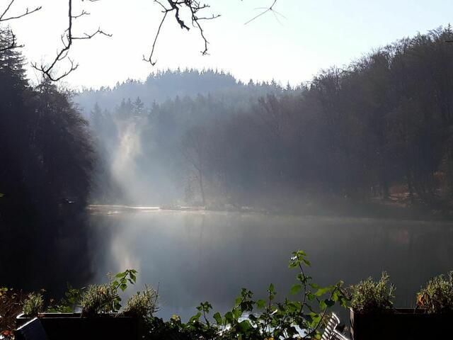 Foto: ELISABETH WEBER