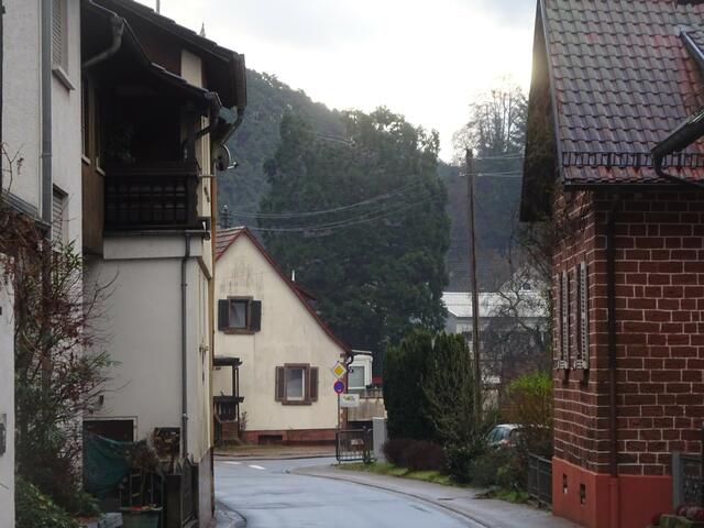 Foto: Fredy Puchalski