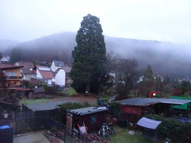 Foto: Fredy Puchalski