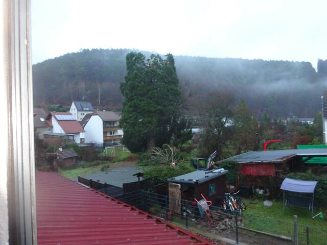 Foto: Fredy Puchalski