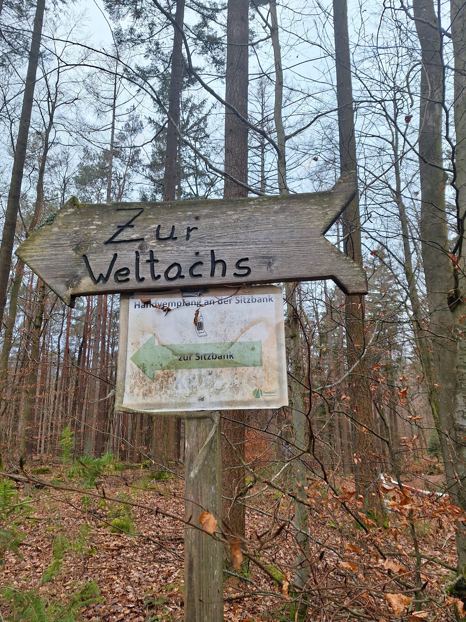 PfälzerwaldVerein Hochspeyer Sonderwanderung zur Weltachsschmierung