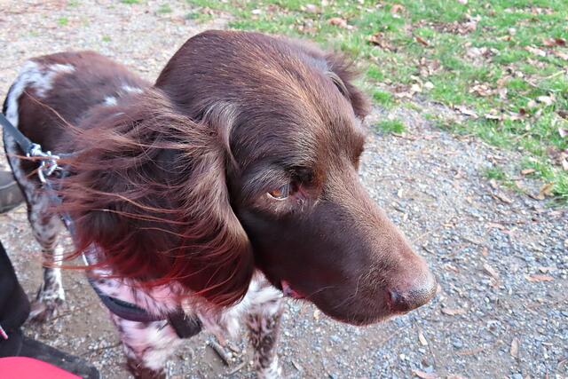 Yalk | Foto: Brigitte Melder