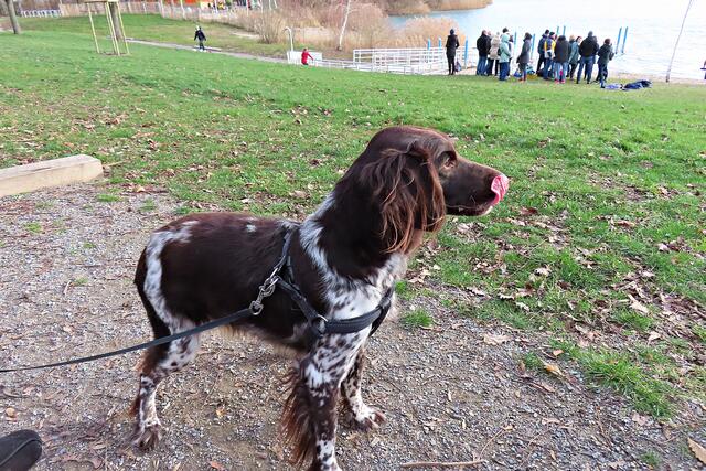 Yalk | Foto: Brigitte Melder