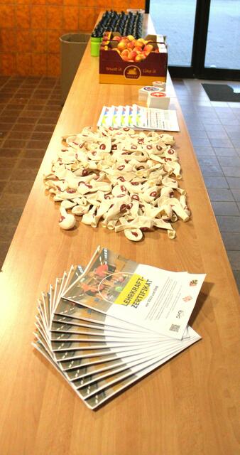 Foto: DHB; PfHv; SV05; Holger Wildt