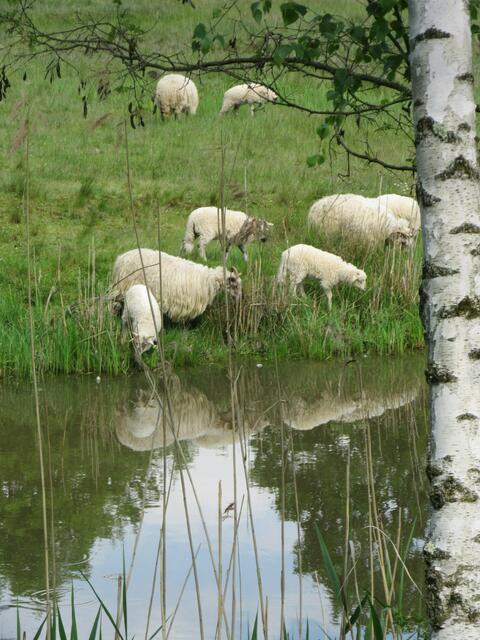Fotografieren am Erdekaut. | Foto: Maiken Liefeith