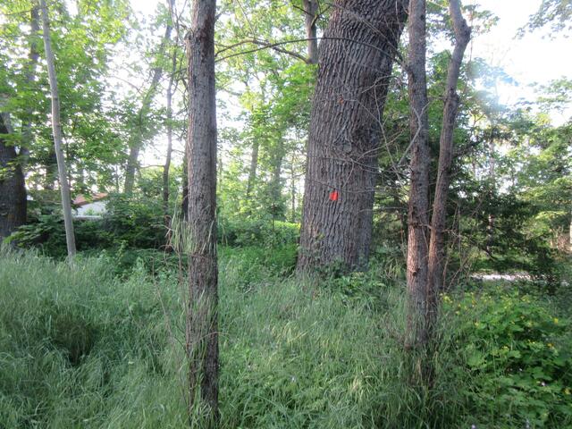 Fotografieren mit Aufmerksamkeitspunkt | Foto: Maiken Liefeith