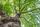 Baum Symbolbild | Foto: chbaum/stock.adobe.com