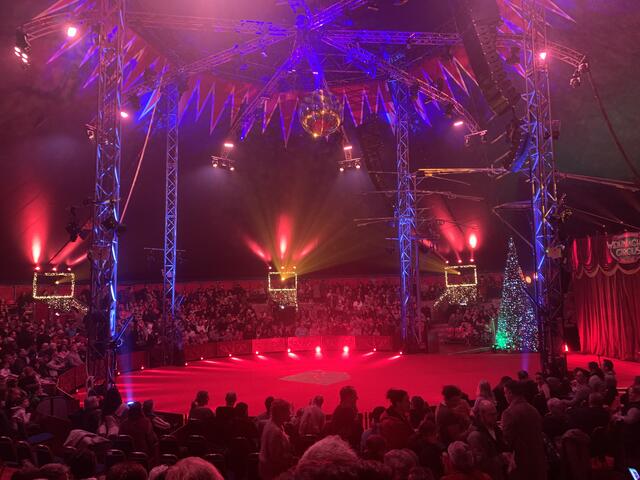 Der 1. Mannheimer Weihnachtscircus fand vom 22. Dezember bis zum 7. Januar statt | Foto: Michael Sonnick