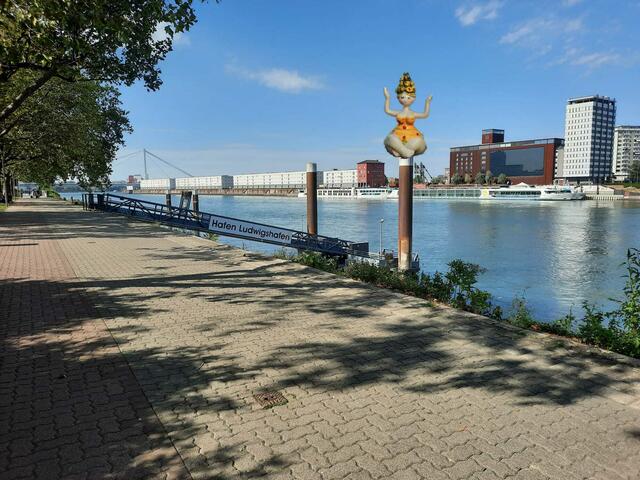 Ludwigshafen soll immer mehr schöne Erlebnisorte am Rhein bekommen.  | Foto: Ivette Strobel