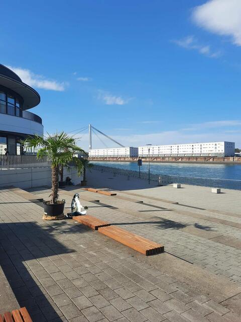 Schon der ehemalige Baudezernent Ernst Merkel sprach von einer "Wende", die eingeläutet wird, seit die Zugänge der Innenstadt nicht mehr durch Container, Hafen und Industrieanlagen versperrt werden. Das Rheinmarktgelände gehört zu den visionären Erlebniszonen am Rhein. 
 | Foto: Ivette Strobel