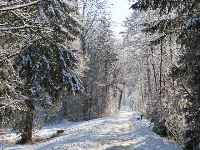 Impressionen | Foto: Brigitte Melder