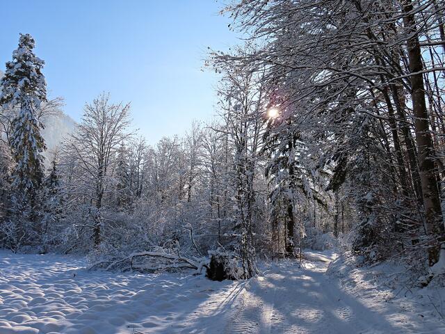 Impressionen | Foto: Brigitte Melder