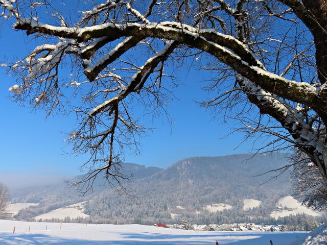 Impressionen | Foto: Brigitte Melder