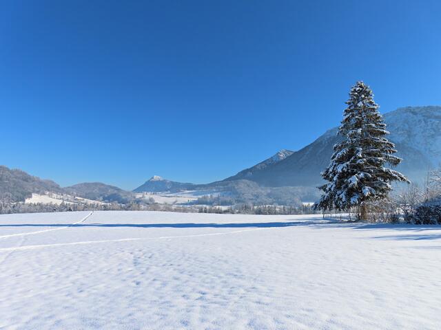 Herrliche Gegend | Foto: Brigitte Melder
