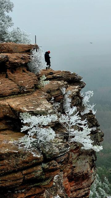 Im Wasgauer Felsenreich | Foto: Markus Pacher