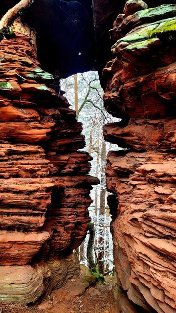 Geheimnisvolle Felsdurchbrüche am Dimbacher Buntsandstein Höhenweg  | Foto: Markus Pacher