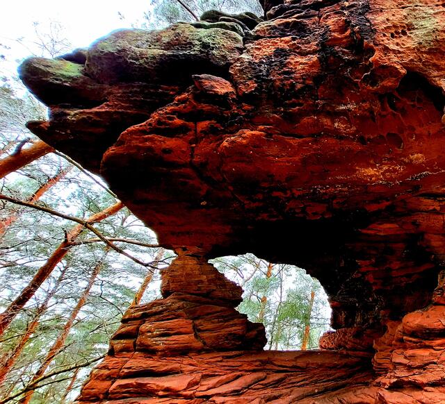 Dimbacher Buntsandstein Höhenweg im Pfälzerwald  | Foto: Markus Pacher