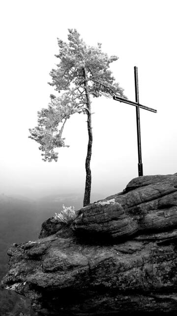 Gipfelglück im Pfälzerwald  | Foto: Markus Pacher