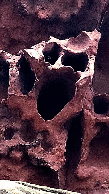 Beeindruckende Wabenstrukturen am Dimbacher Buntsandstein Höhenweg  | Foto: Markus Pacher