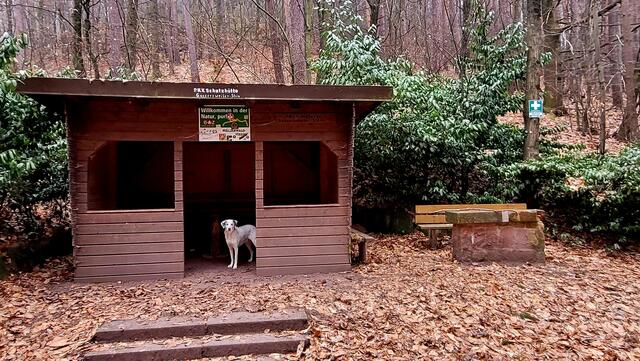 Schutzhütte am Dimbacher Buntsandstein Höhenweg  | Foto: Markus Pacher
