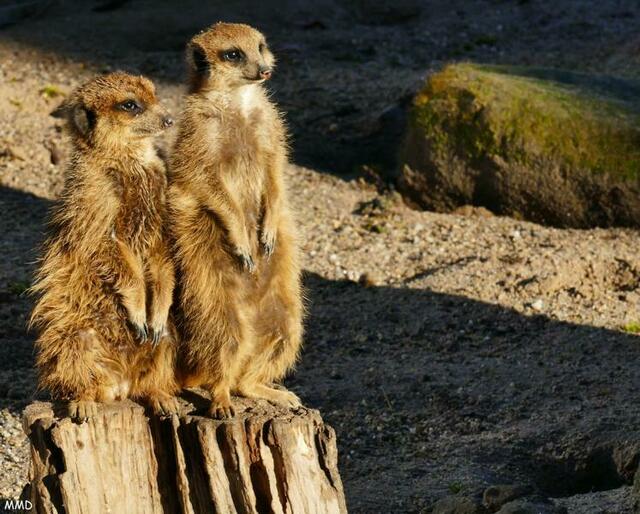 Sonne tanken | Foto: Marlene Deck