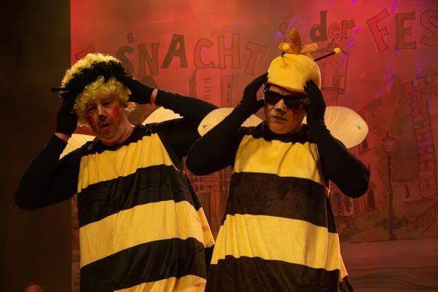 Prunksitzung der Germersheimer Rhoischnooke 2024 | Foto: Heike Schwitalla