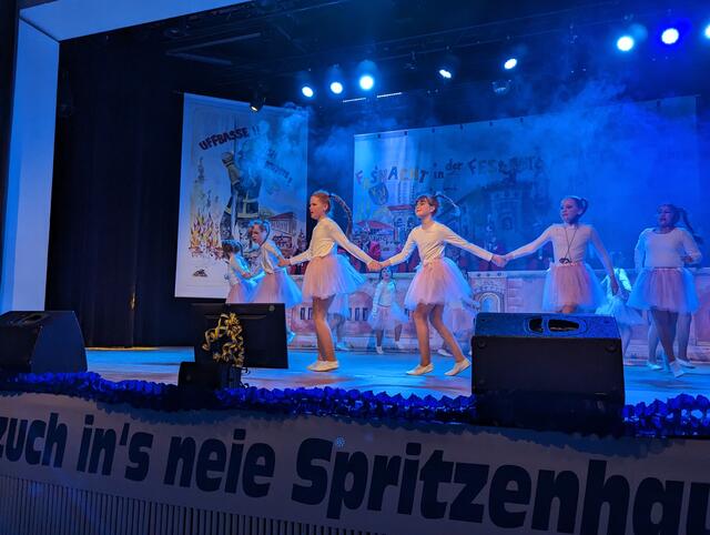 Prunksitzung der Germersheimer Rhoischnooke 2024 | Foto: Heike Schwitalla