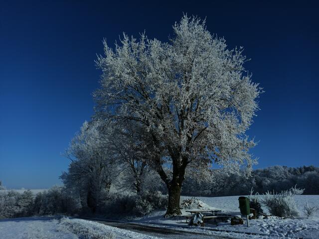 Winterwonderland am Bänkche in Wartenberg-Rohrbach | Foto: Stephen Wüstenberg Photographie - Wartenberg-Rohrbach