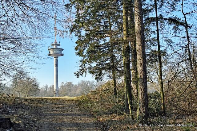 Foto: Klaus Eppele
